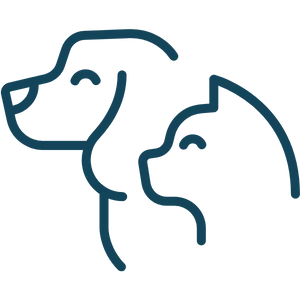 Mascotas
