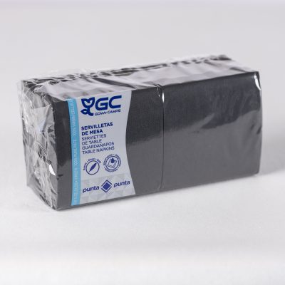 Servilleta 20*20  2 Capas P&P